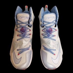 Lebron Winter 13s Size 12
